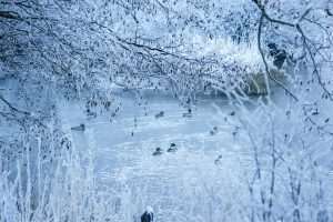 Cold Weather